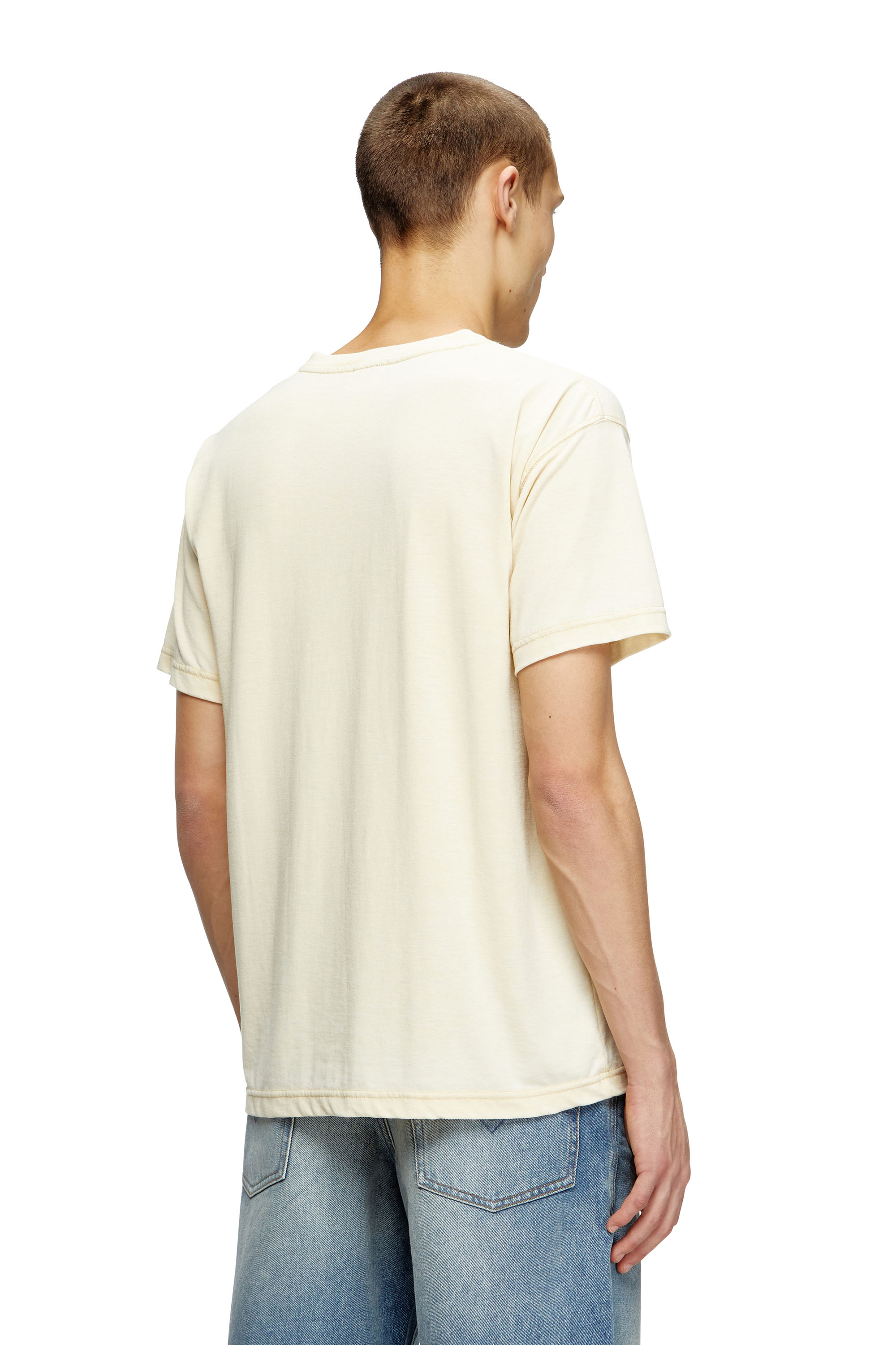 Diesel - T-NORM-T2, Man's Slogan T-shirt with burnout wash in Beige - 5