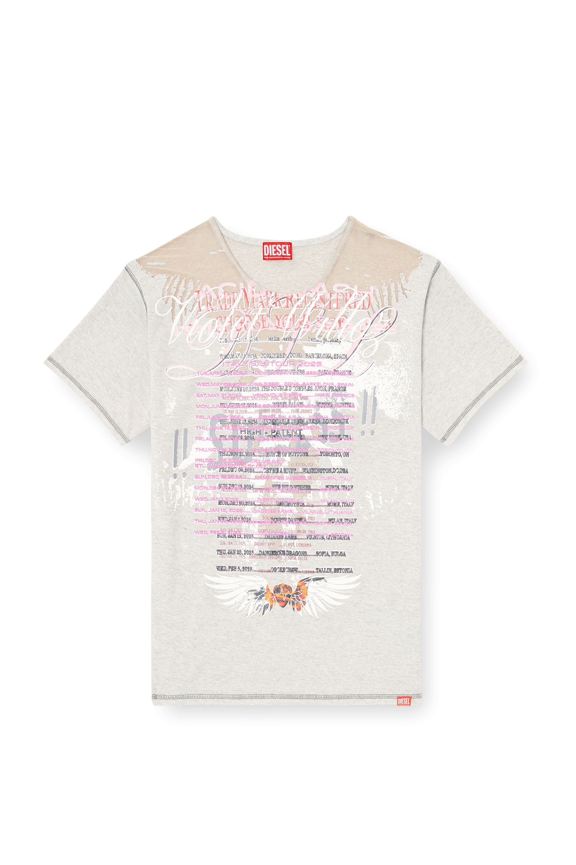 Diesel - T-NORMAC, Woman's Crew neck T-shirt with lyrics print in Grey - 3