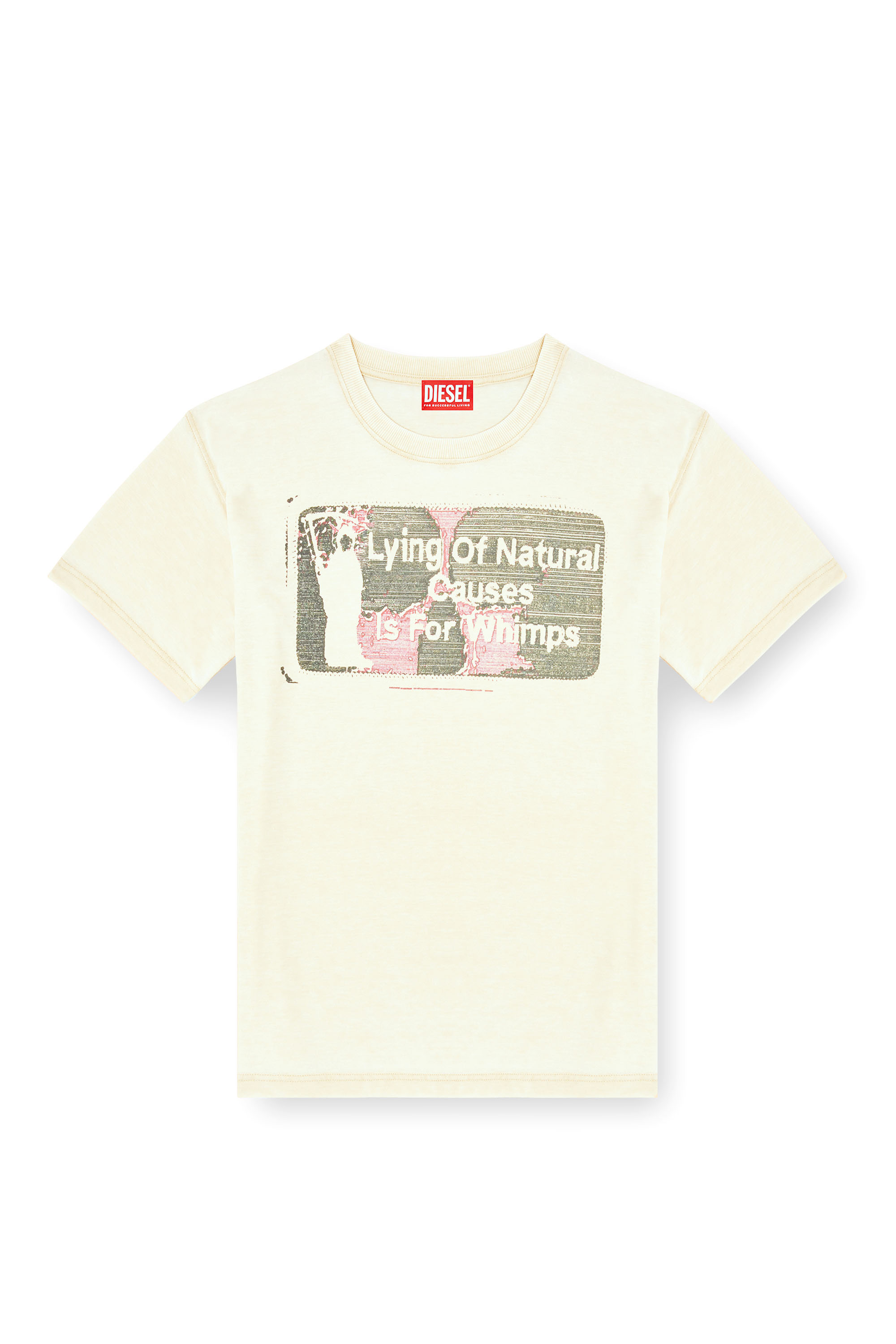 Diesel - T-NORM-T2, Man's Slogan T-shirt with burnout wash in Beige - 4